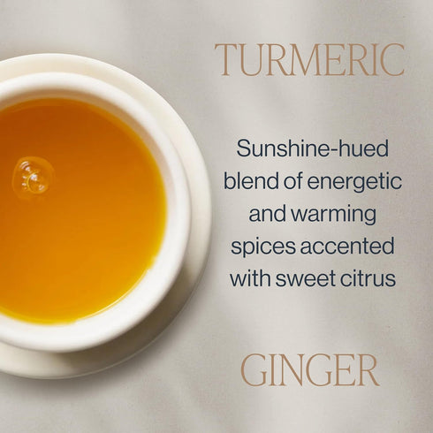 16 (Pack 1) Rishi Tea Turmeric Ginger Herbal Tea - Organic Loose Leaf, Caffeine Free Blend with Spicy Ginger & Citrus
