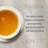 16 (Pack 1) Rishi Tea Turmeric Ginger Herbal Tea - Organic Loose Leaf, Caffeine Free Blend with Spicy Ginger & Citrus