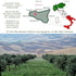 600+ 2025 8.5 oz Entimio Ardente Organic Italian Extra Virgin Olive Oil from Italy, mg/kg High in Polyphenols, Gold
