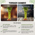 15 Pack) Live Two Tier Lucky Bamboo Plant - Bundle of Stalks - Easy to Grow, Air Purifying, Live Indoor Houseplants