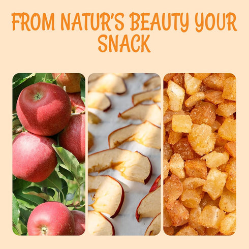 1 LB Packed Oh! Nuts Dried Cinnamon Apple - - Sweetened Dried Fruit Diced - Dehydrated Fruit Bites - in New York