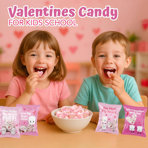 4E's (24 Packs) Novelty Heart Marshmallows Pink & White Valentine Marshmallows Mini Individually Wrapped for Hot