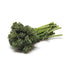 Fresh Produce 1 Baby Broccoli Organic, Each