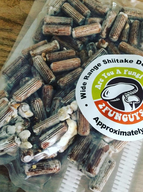 100 Shiitake Mushroom Plug Spawn, Edible Mycelium Plugs