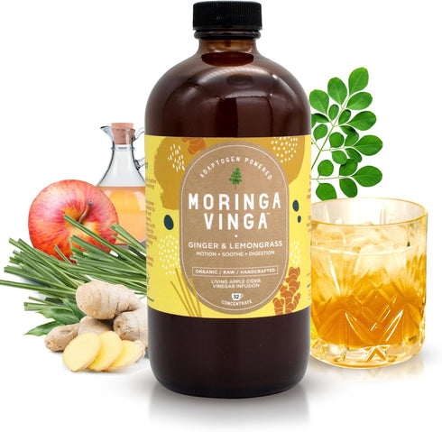 VINGA Organic Ginger & Lemongrass Moringa Infusion Daily Herbal Tonic with Apple Cider