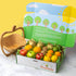 Gourmet Fresh Fruit Gift Box by Fruitfully
