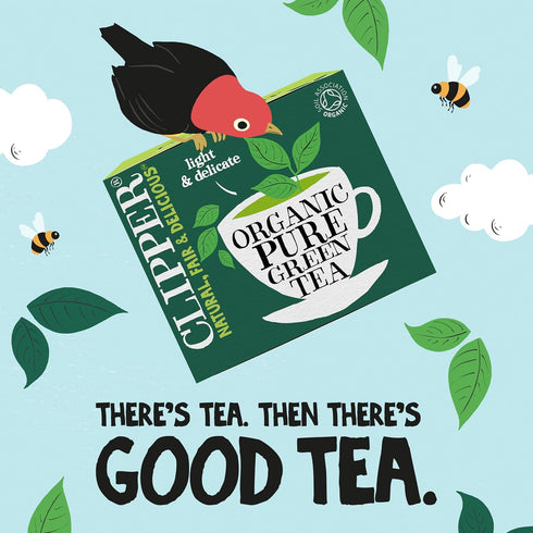 Clipper 80 (Pack 3, 240 Pure Green Teabags of Total Teabags)