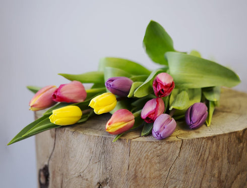 10 KaBloom Flowers - Mother's Day Collection - Assorted Bouquet of Tulips Without Vase.Gift for Birthday, Anniversary