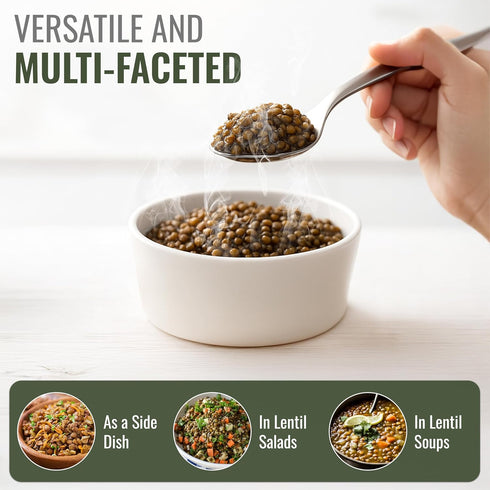 14.5 Oz Straight from France Genuinely French, Non GMO Certified French Green Lentils, All Natural Dry Lentils, Rich