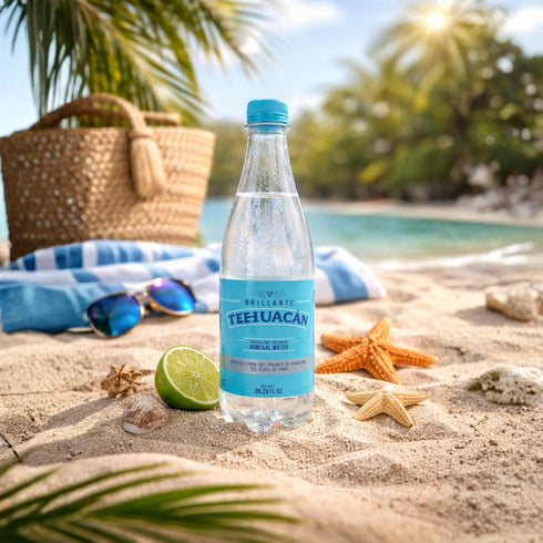 TEHUACN BRILLANTE 600 ML, 24 Pack, Sparkling Mineral Water, Mexico