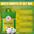 TAJ Gourmet Foods 10-Pounds TAJ Gourmet Idly Rice, Idli Rice, Short Grain Rice