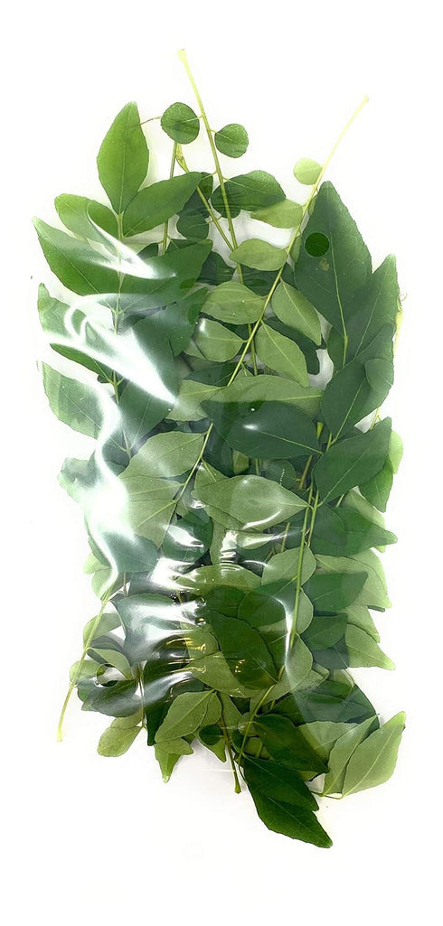 Rani Fresh Curry Leaves 1oz (28g) ~ All Natural | Vegan |