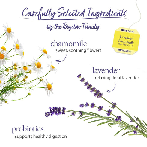 18 Count (Pack 6), 108 Bigelow Tea Lavender Chamomile Plus Probiotics Herbal Tea, Caffeine Free with Lavender
