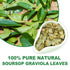 1.5g 50 Count 100% Country TEARELAE - Soursop Leaves Tea - x - Pure Soursop Graviola Leaves Tea Bag - of Origin