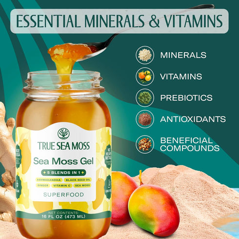 5-in-1 Pack 1 TrueSeaMoss Sea Moss Gel Made in USA Formula Wildcrafted Seamoss, Ashwagandha & Jarred Vegetables