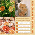 WANLAIREN 300g/10.58oz, Apple Slices-Dried Apples, Apple chips, Fuji Apples, No Added, Guilt-free, Clean Snack | Chewy