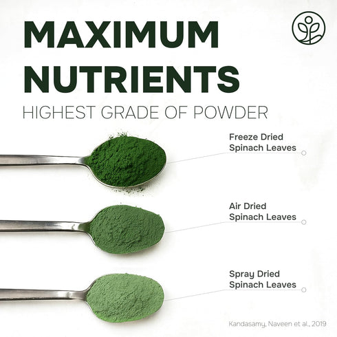 5 Immune Organic Spinach Powder from Whole Leaf Ounce Bag USDA Certified - Antioxidant Rich Smoothies Fresh Freeze