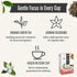 18 Numi Organic Green Tea with Jasmine, Microplastic-Free Tea Bags