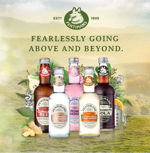 275 ml (Pack 12) Fentimans Sparkling Curiosity Cola - Healthy Soda, All Natural Soda, Craft Soda with No Artificial