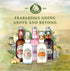 275 ml (Pack 12) Fentimans Sparkling Curiosity Cola - Healthy Soda, All Natural Soda, Craft Soda with No Artificial