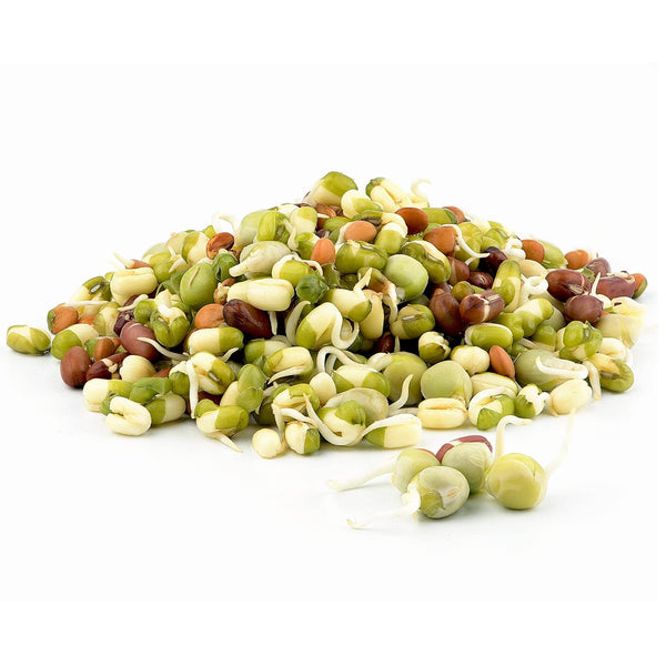 Todds Seeds - Protein Bean Sprouting Seed Mix - Green Pea -