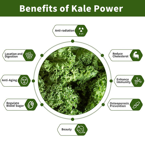 Hudetex Immune 8oz Kale Powder Organic - Green Juice Powder for Kale DrinkSupports System & Digestive Function,Keep