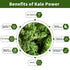 Hudetex Immune 8oz Kale Powder Organic - Green Juice Powder for Kale DrinkSupports System & Digestive Function,Keep