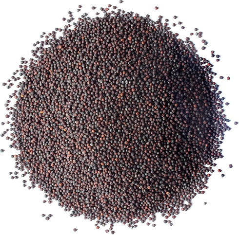 1 Food to Live - Broccoli Seeds for Sprouting, Pound Vegan, Kosher, Sirtfood, Bulk. Rich in Sulforaphane, Vitamin C