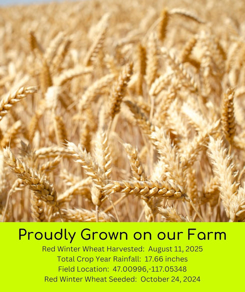 3 LBS Palouse Brand Certified Glyphosate Residue Free Hard Red Winter Wheat Berries | | Family Farmed in Washington