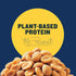 16oz PLANTERS Honey Roasted Peanuts, Dry Roasted Peanuts, Party Snack, Plant-Based Protein, After School Snack, Sweet