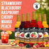 Summer Pack 25.4 oz Summer (6-Pack) Syruvia Fruit Syrup Variety Strawberry, Blackberry, Raspberry, Cherry, Mango