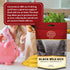 Spicy World 6 Minnesota Grown Black Wild Rice Pound Bag - Premium Quality, All Natural - by