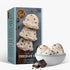 Triple Scoop - Premium Vanilla Choc Chip Ice Cream Mix For Ice