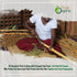 1 lb, True Organic Pure Ceylon Cinnamon Powder, Premium Grade, Gluten Free, USDA & Kosher Certified, Organic Ground
