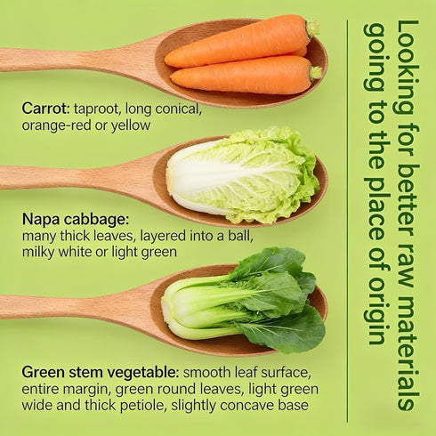 WEIJUEJIYI 300g 10.58oz, Mixed Dried Vegetable Products / Nutritious and Delicious Carrot, Baby Spinach, and Cabbage