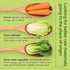 WEIJUEJIYI 300g 10.58oz, Mixed Dried Vegetable Products / Nutritious and Delicious Carrot, Baby Spinach, and Cabbage