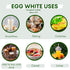EGG WHITES INTERNATIONAL WWW.EGGWHITESINT.COM 100% 100% (1 Egg Whites International Pure Liquid Egg White Protein