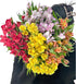 30 stem random mix Rainbow Alstroemeria Fresh Cut Flowers Gift for Home