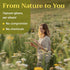 2oz Dried Yarrow Flowers Tea - Natural Yarrow Flower Herb Bulk - Achillea Millefolium Herbs - Loose Leaf Cut
