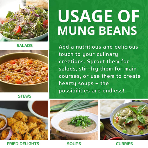 4 LB Jiva Organics Organic Mung Beans Whole LARGE Bag - Green Moong Bean