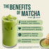 100g 3.53 (Pack 1) Jade Leaf Matcha Organic Culinary Grade Matcha Powder - Japanese Green tea for Baking, Smoothies
