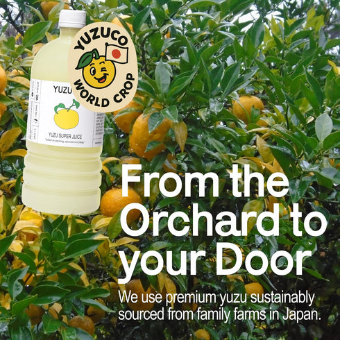 (36.4oz, Pack 1) YUZUCO Yuzu Super Juice of Award-Winning Japanese Yuzu Juice Blend with Lively Citrus Notes, Crafted