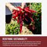 1.8oz Burlap & Barrel Smoked Pimentn Paprika Rich, Smoky Flavor with Mild Heat Smoked Paprika Powder for Cooking Savory