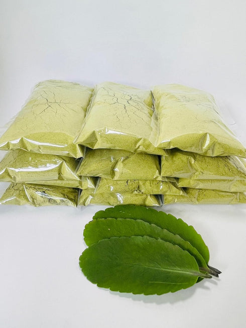 Ceylonwood Herbals 100g Organic Kalanchoe pinnata Leaves Powder (Bryophyllum Pinnatum), Miracle leaf air plants Herbal