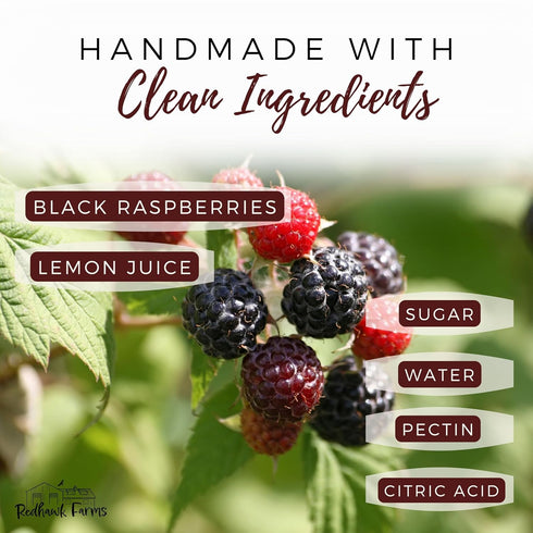 (18 oz) Redhawk Farms Seedless Black Raspberry Jam - Slowcooked Black Raspberry Jelly - Homemade Jams, Jellies