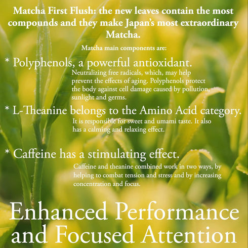 Organic Matcha Green Tea Powder, 3.5 OZ - 80 Servings, Latte & Smoothie Grade, Japanese First Harvest