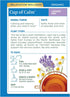 16 Traditional Medicinals Organic Cup of Calm Herbal Tea, ct