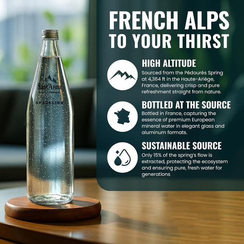 25.4 Oz (6-Pack) Sant'Anna Sparkling Natural Mineral Water, Fl | Pure French Pyrenees Mountain-Fresh Drinking Water |