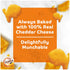 Pack, 0.9 oz, 9 Multi-Pack (Pack 2) Goldfish Colors Cheddar Crackers, Snack CT Tray