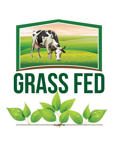 Organic Grassfed Real Butter Powder, Keto NON GMO, rBST Hormone Free, 8oz, Great in Keto Coffee, Unsalted